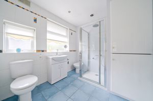 Shower Room- click for photo gallery